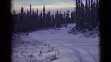 Alaska (1946): Sled Dog Carrier Trek In Formidable Snow Terrain Against Odds