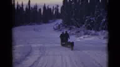 Alaska (1946): Dogs Pull Man And Sled On A Clear Winter Day