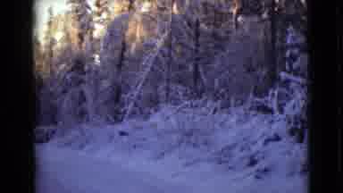 Alaska (1946): Winter Scene With Trees Covered In Snow Running Car And A Sunset