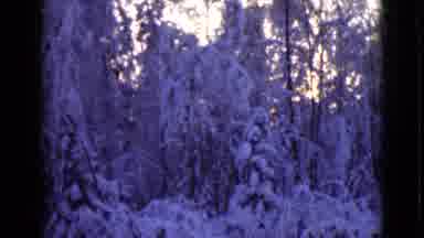 Alaska (1946): Snow Laden Trees And Snow Banks In A Mountain Landscape Alaska