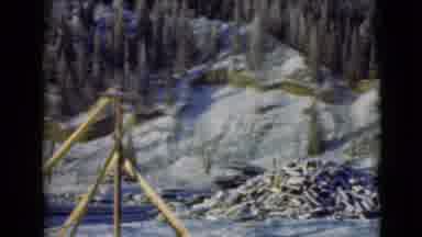 Alaska (1946): A Snowy Wooded Area
