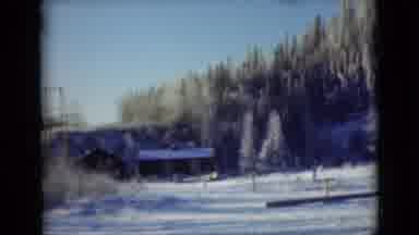 Alaska (1946): Snow Covered Trees And Bridge On A Clear Winter Day