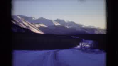 Alaska (1946): Snow Covered Mountains And Trees On A Sunny Day