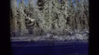Alaska (1946): Snow Packed Road Surrounded By A Frozen Snow Covered Forest