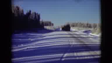 Alaska (1946): Surrounded By Trees A Sandy Road With Mark Of Vehicle Tyres On It