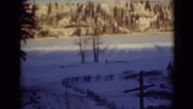 Alaska (1946): Panning Of Snowy Field On Winter Day Seen Through Several Trees