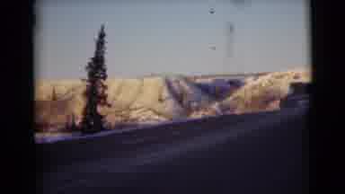 Alaska (1946): Snowy Landscape Featuring Trees And A Road