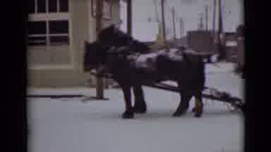 Alaska (1946): Pair Of Black Horses Hitched To Green Wooden Sled On Clear Winter