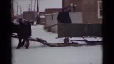 Alaska (1946): Horse Sleigh Run Dog Fast Snow Dawson Town Work Building