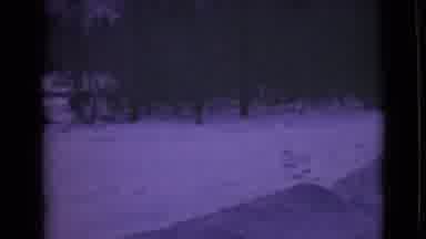 Alaska (1946): A Snow Covered Area With Trees Around And A Road