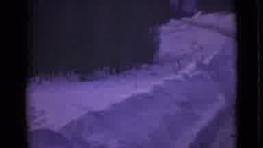 Alaska (1946): A Land With Highway And Forest Covered Under Heavy Snow
