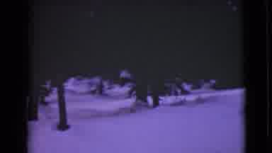 Alaska (1946): Fresh Deep Snow With Footprints Surrounds Dark Evergreen Tree