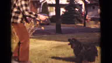 Alaska (1946): Two Different Families Feeding Their Dogs