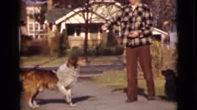 Alaska (1946): Fred Giving His Dog A Treat While The Other One Watches Patiently