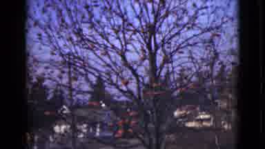 Alaska (1946): Tree Decorated For Halloween