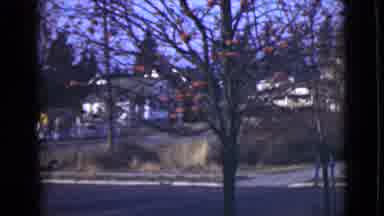 Alaska (1946): Quante Neighborhood In Middle American