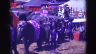 Ringling Brothers Sarasota Florida (1948): Heard Of Trained Elephants Being Led By