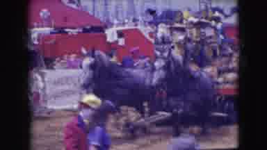 Ringling Brothers Sarasota Florida (1948): A Circus Including Horses Clowns And A