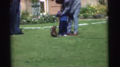 Chatham New Jersey (1951): A Dog Is Jumping On A Little Children With Two Adults