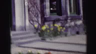 Edinbourgh Scotland (1952): So Many Plants Are Plant In Front Of The House And