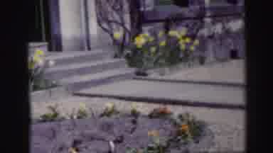 Edinbourgh Scotland (1952): A Garden Next To The Front Porch With New Flowers That
