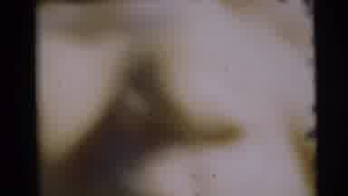 Pennington New Jersey (1954): Group Of People Get Together And Friends While The