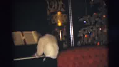 Pennington New Jersey (1954): Lady Playing Piano Then Giving Child A Drink