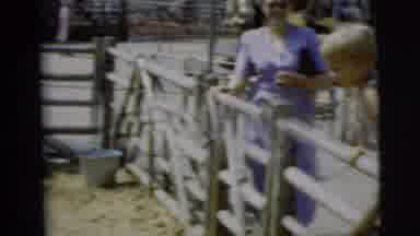 Pennington New Jersey (1955): Children At A Petting Zoo Trying To Get A Horse's