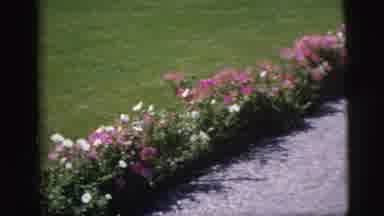Pennington New Jersey (1955): Person's Pretty Garden