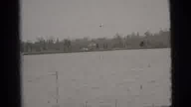 New York City (1956): Black And White Footage Of Dog Playing In River