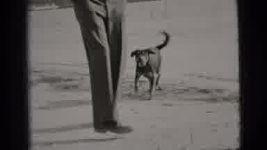 New York City-1956: Man Playing With Dog Outside