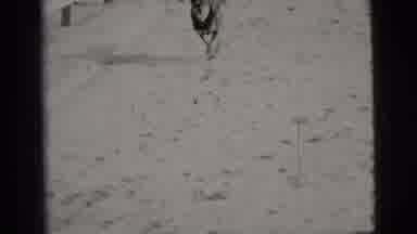 New York City (1956): Dog Runs Towards Camera And Does Some Tippy Taps In The