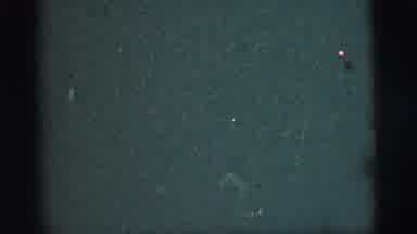 New York City (1956): Having Fun Playing Guitar And Keyboard With The Whole Crowd