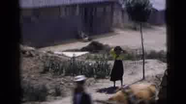 New York City (1958): Farm With Lost Of Animals