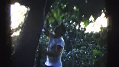 New York City (1958): Fearless Man Tackling Tree Climbing With Agility Ease And