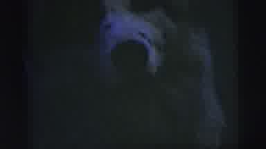 New York City (1958): White Dog With Black Spots Wagging Its Tail Lying On The