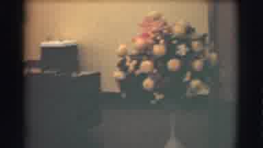 Saint Louis Missouri (1959): Man And Woman Working In Office With A Lot Of Flowers
