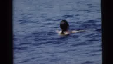 Camden New Jersey (1962): Ladies Swimming In Lake