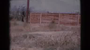 Cottonwood Arizona (1964): Vintage Looking Film Of Dry And Yellowed Grass Area