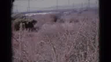 Cottonwood Arizona (1964): It Is The Beautiful Place Look Like A Nature