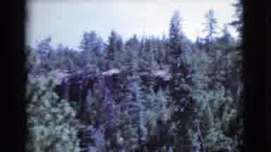 Cottonwood Arizona (1964): Sweeping An Endless Pine Tree Forest In The Mountains