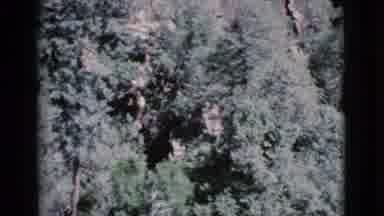 Cottonwood Arizona (1964): Aerial Large Mountain Hillside Covered In Tall Green