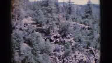 Cottonwood Arizona (1964): Footage Of A Forest Overlooking A Lush Range Of