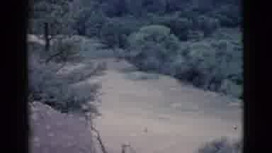 Cottonwood Arizona (1964): Viewing A Dirt Road Green Bushes And Trees In A Field