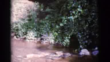 Cottonwood Arizona (1964): Tall Man Holding A Fishing Pole Trying To Catch Fish