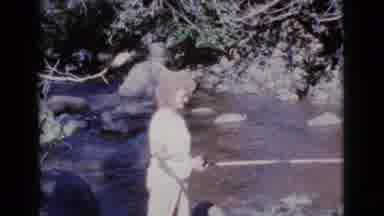 Cottonwood Arizona (1964): Station Wagon Vehicle Parked Among Trees Cuts To Woman