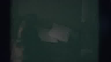 Tuscon Arizona (1966): A Blurry Video Of A Dog Playing With An Elderly Woman On