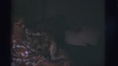 Tuscon Arizona (1966): German Shepard Is Seen Playing With Owner As The Camera