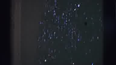 Tuscon Arizona (1966): It's A Big Scary Looking Tree With Red Light Flash