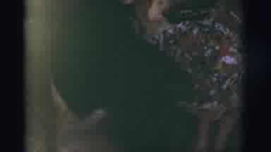 Tuscon Arizona (1966): Person Is Petting A Dog And The Dog Spins In A Circle